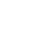 award icon